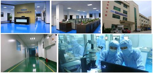 公司簡介|公司簡介