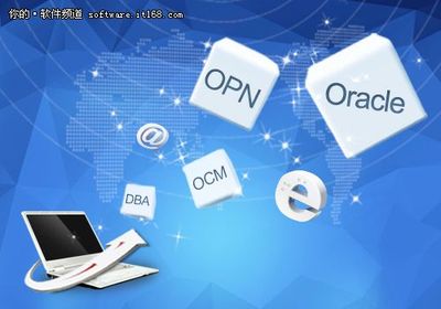 選擇Oracle技術(shù)服務(wù)公司需注意哪些事情